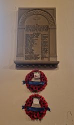2. Plaque
